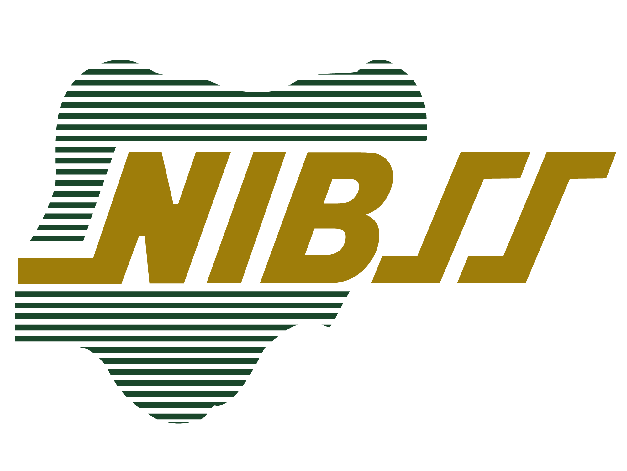 Nigeria Inter-Bank Settlement Systems (NIBSS) logo